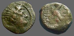 Ancient Coins - Seleukid. Antiochos VIII AE18, Rd Hd. of Antiochos right / Eagle standing left. 