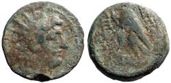 Ancient Coins - Antiochos VIII AE18, Rd Hd. of Antiochos right / Eagle standing left.