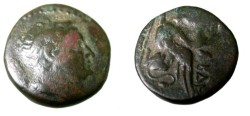 Ancient Coins - Northern Greece Thrace – Abdera 4th Century BC AE 19