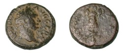 Ancient Coins - Domitian AE15 Laureate Head r