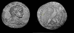 Ancient Coins - Syria : Selucus & Piera Antioche Elegabalus  218-333AD