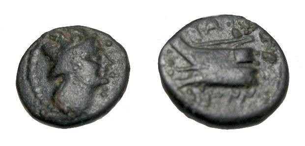 Ancient Coins - Phoenicia Arados 2nd - 1st Century BC AE15 S-5999