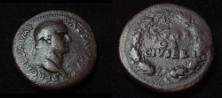 Ancient Coins - Galba Æ sestertius. June to August 68 AD, SER GALBA IMP CAES AVG TR P