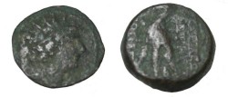 Ancient Coins - Seleukid Kings Antiochus VIII 121-96 BC AE19 S-7154