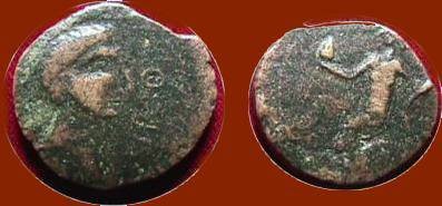 Ancient Coins - Spain - IRIPPO, Bearless Male AE23