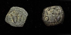 Ancient Coins - Judaea : Herod Archeuaus 4BC - 6AD