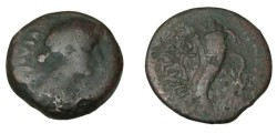 Ancient Coins - Julia Augusta (Liva) AE25 13.0gm RPC I 5027 Dat 72 Kohln 36 E-52 Milne 15-16