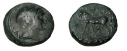 Ancient Coins - Seleukid Kings Seleukos II 246-226BC AE 17 S-6916