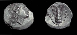 Ancient Coins - Metapontion : AR Stater