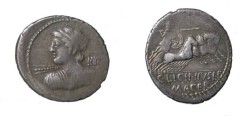 Ancient Coins - LICINIA C. Licinius L. f. Macer Denarius