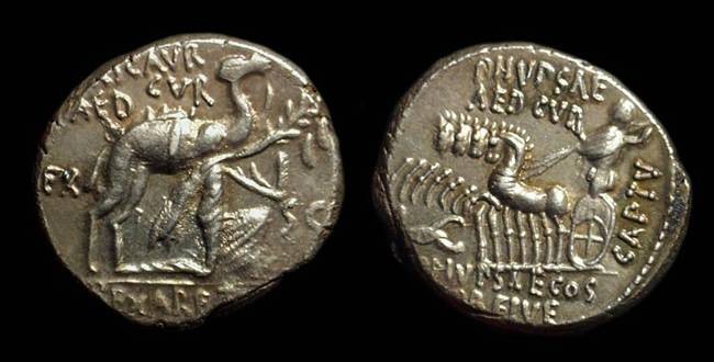 Ancient Coins - M Aemilius Scaurus & Pub Plautius Hypssaeus, c. 58 BC. AR Denarius (4.01g). 
