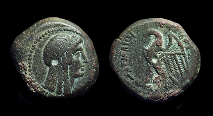 Egypt Ptolemy V Epiphanes 5 180 Ae 21 6 60g Small Isis Eagle Type Ex Wcm