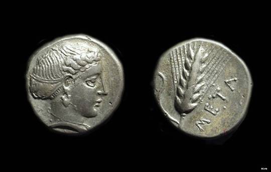 Ancient Coins - LUCANIA, Metapontion. AR Fouree Stater (5.54g), c. 400-340 BC. 
