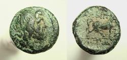 Ancient Coins - MACEDON. AMPHIPOLIS. AE 17  Zeus/Horse