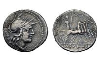 Ancient Coins - M Tullius Ar Denarius