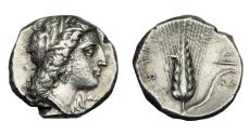 Ancient Coins - Lucania Metapontion Ar Stater