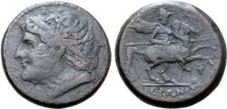 Ancient Coins - Sicily, Syracuse, Hieron II, 275 - 215 BC, AE Hemilitron