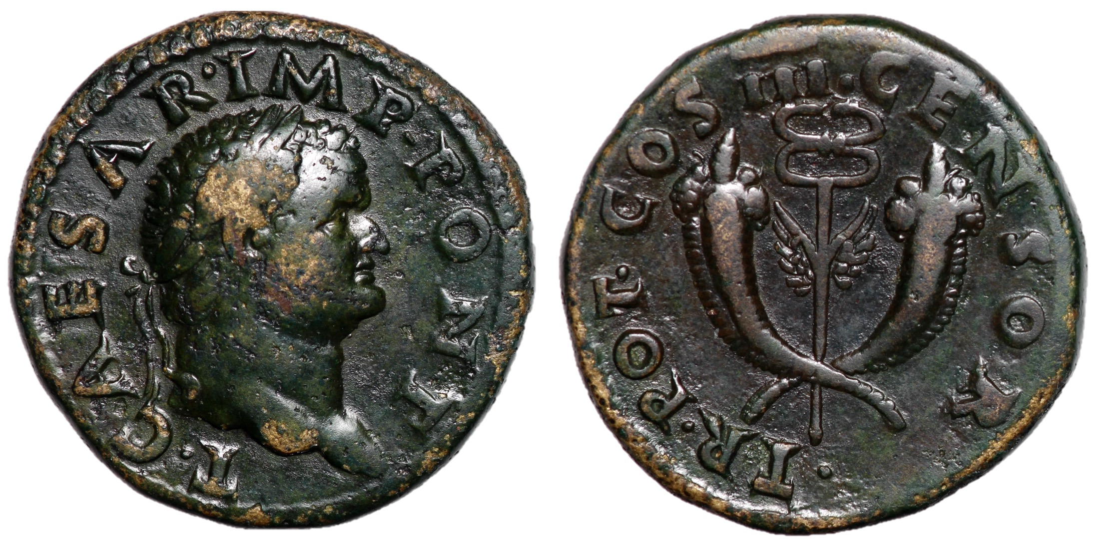 Titus, as Caesar, Dupondius with Crossed Cornucopiae | Roman