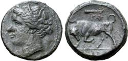 Ancient Coins - Sicily, Syracuse, Hieron II, 275 - 215 BC, AE20