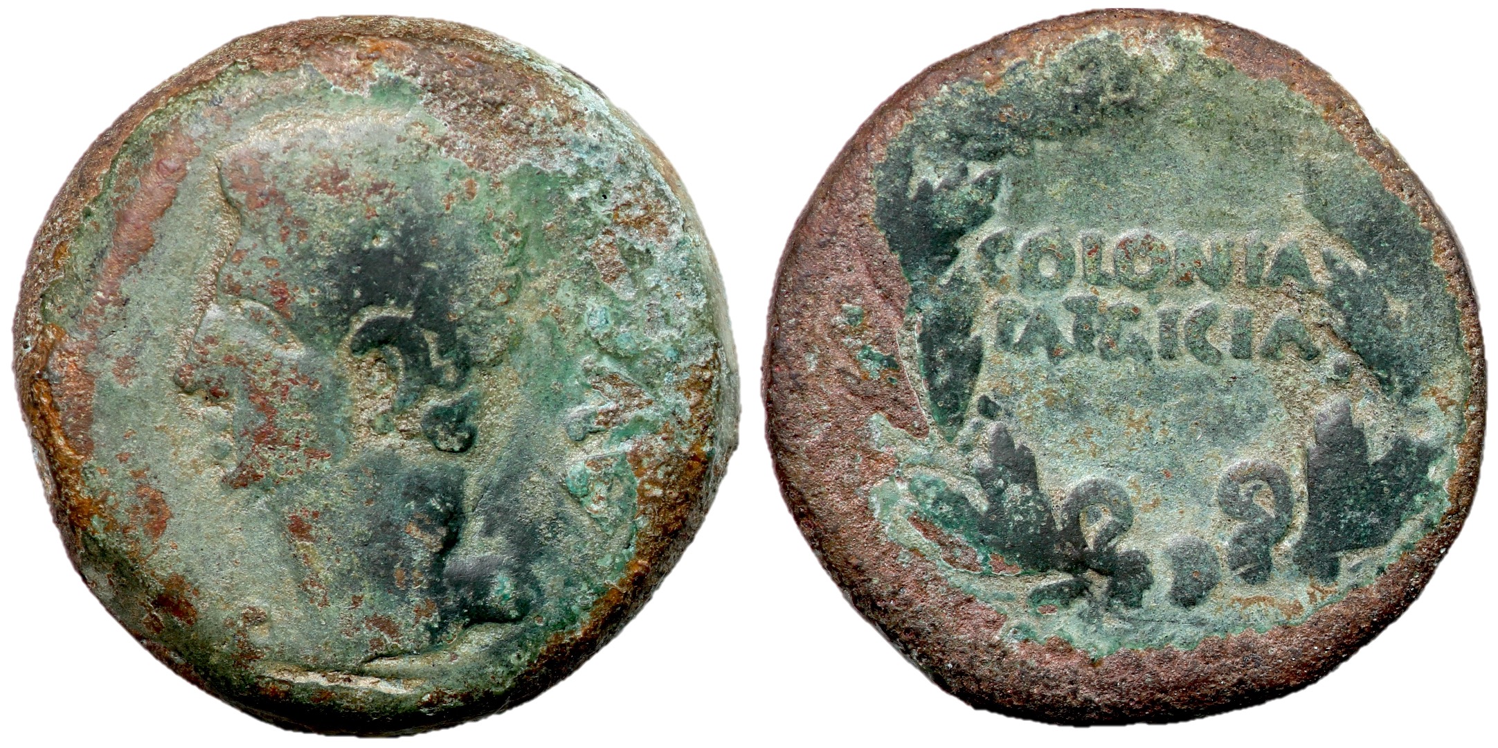 Augustus, 27 BC - 14 AD, As of Colonia Patricia | Roman Imperial Coins