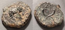 Ancient Coins - Titus, 69-79 AD, Syria, Decapolis Gadara