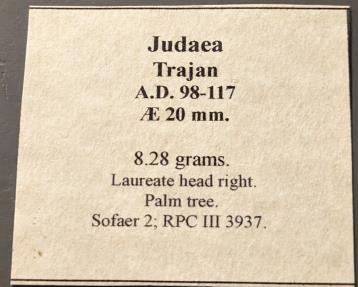 Ancient Coins - Judaea. Sephoris.  Trajan, 98-117 AD.  Palm reverse