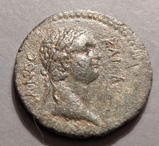 Cilicia, Flaviopolis. Domitian, 81-96 AD - very attractive!!