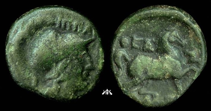 Ancient Coins - Thessalian League, AE17 c. 196-146 BC, Athena / Horse Trotting, Patina