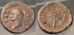 Ancient Coins - Roman Provincial. Domitian, 69-81 AD. Seleucis & Pieria. AE18