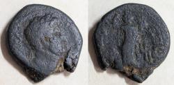 Ancient Coins - Roman Provincial. Judaean. Gaza. Hadrian, 117-138 AD