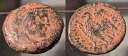 Ancient Coins - Egypt under Greek rule, Ptolemy V, 204-180, AE obol