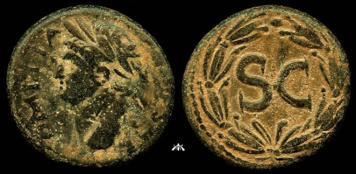 Ancient Coins - SYRIA, Antioch - Domitian as Caesar under Vespasian (c. AD 74-81), Nice Levantine Patina and VF Details