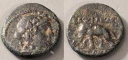 Ancient Coins - Seleukos I Nikator, 312-280 BC.  AE13.  Elephant