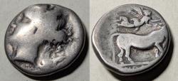 Ancient Coins - Ancient Greek, Campania, Neapolis, 275-250 BC AR nomos