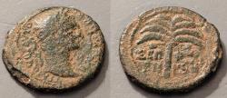 Ancient Coins - Judaea. Sephoris.  Trajan, 98-117 AD.  Palm reverse