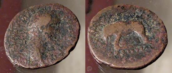 Ancient Coins - Antoninus Pius, 138-161  AD. AE as, elephant on reverse