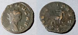Ancient Coins - Gallienus zoo series! 253-268 AD. AE antoninianus
