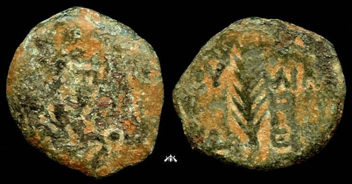 Ancient Coins - Valerius Gratus, AE Prutah - Roman Prefect in Judaea under Tiberius, Year 5 (c. AD 18) 