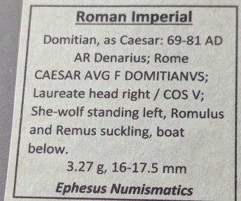 Ancient Coins - Domitian, 69-81 AD. AR denarius, wolf & twins