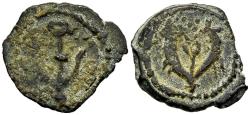 Ancient Coins - Judean Kingdom Herod the Great 37-4 BC Prutah Anchor / Two Cornucopias