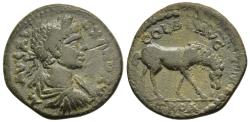 Ancient Coins - Severus Alexander Alexandreia Troas AE23 Horse Grazing Right 222-235 AD