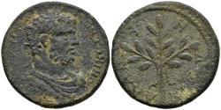 Ancient Coins - VF Caracalla AE28 Alabanda Caria Filleted Laurel Branch