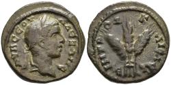 Ancient Coins - Severus Alexander 222 - 235 AD Caesarea Cappadocia AE21 3 Stalks of Grain