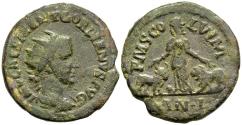 Ancient Coins - Gordian III AE24 Viminacium Moesia Superior Moesia Standing Between Bull & Lion