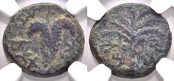Ancient Coins - NGC VF Scarce Bar Kochba Revolt AE17 Yr 3 134-5 For The Freedom of Jerusalem