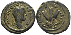 Ancient Coins - Severus Alexander 222-235 AD Caesarea Cappadocia AE23 Stalks of Grain Year 6