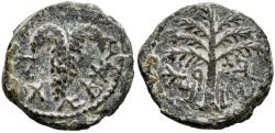 Ancient Coins - Judaea Bar Kochba Revolt Against Rome AE19 Year 3 134-5 AD Grapes / Date Palm