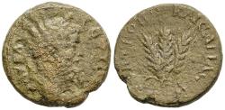 Ancient Coins - aVF Septimius Severus AE22 Caesarea Cappadocia 206 AD Bundle of Grain