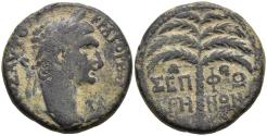 Ancient Coins - Trajan Sepphoris Galilee Judaea AE23 Date Palm Five Miles North of Nazareth