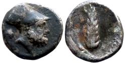 Ancient Coins - Lucana - Metapontion - AR Stater -